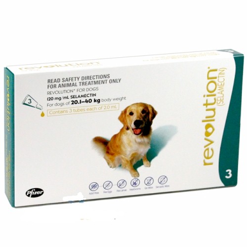 Revolution for Dogs 41 85 lbs TEAL 6 tubes 73.45 Heartworm Preventatives